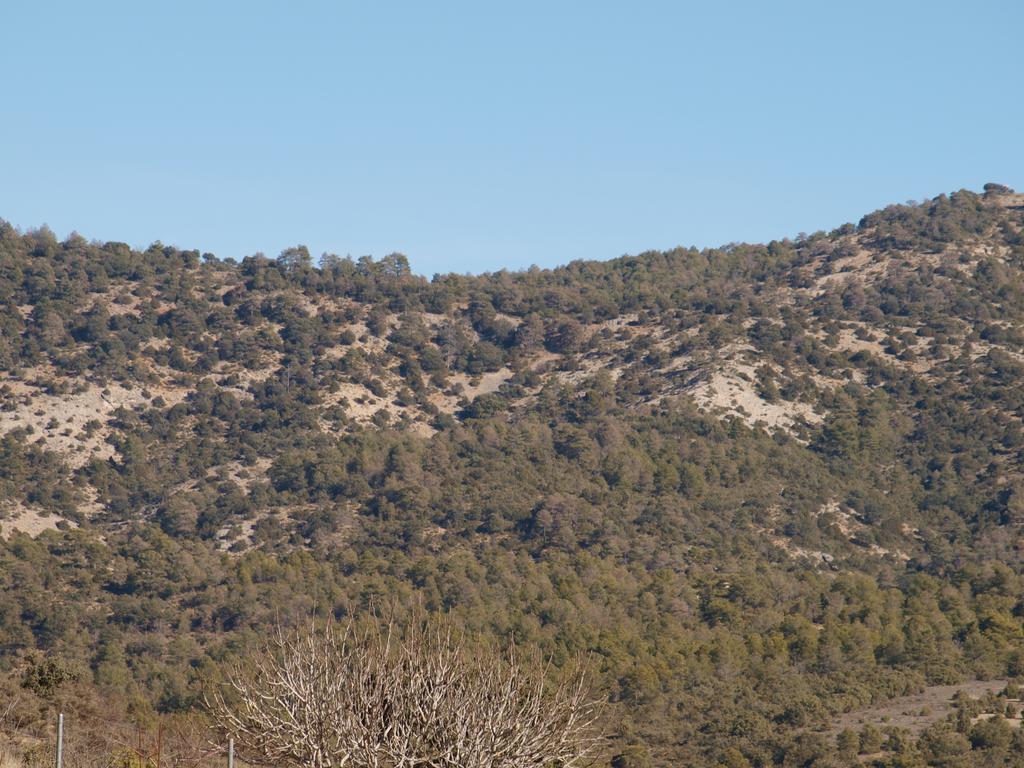 Fresneda de la Sierra Alojamiento Turistico "El Torreon"旅馆 外观 照片